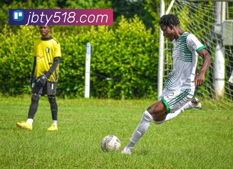 九博体育官网服务体系